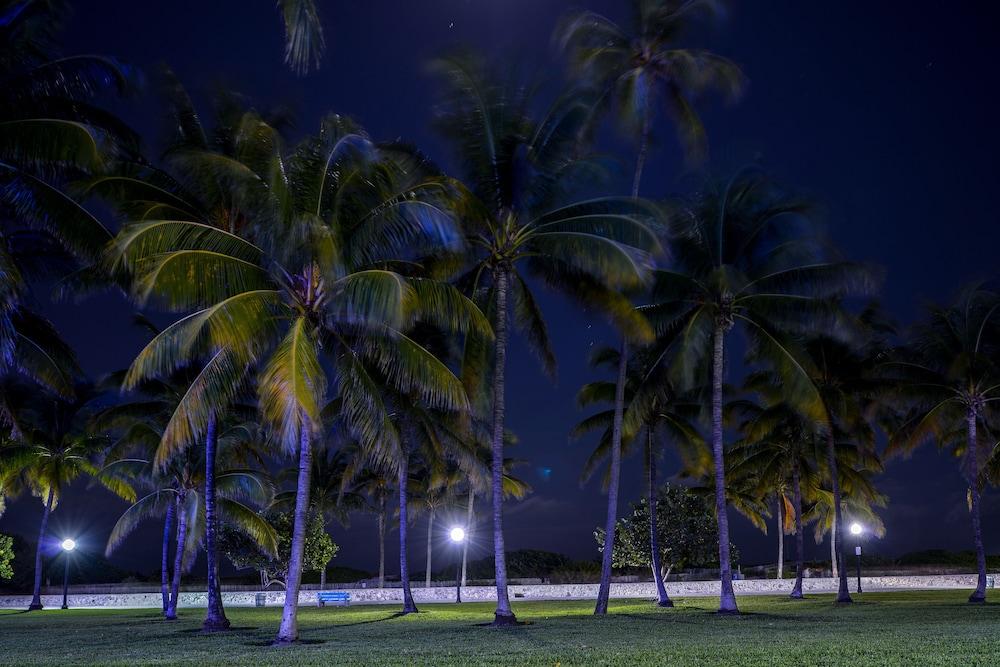 Hilton Vacation Club Crescent On South Beach Miami Miami Beach Kültér fotó